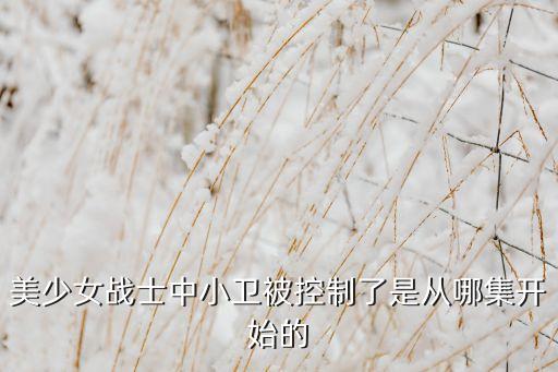 女戰(zhàn)士被控制，美少女戰(zhàn)士中小衛(wèi)被控制了是從哪集開始的