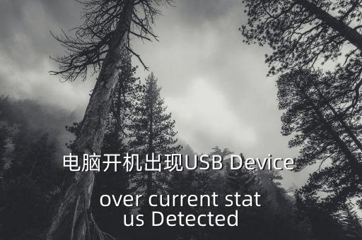 電腦開(kāi)機(jī)出現(xiàn)USB Device over current status Detected