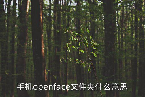 手機(jī)openface文件夾什么意思