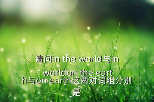 請問in the world與in worldon the earth與on earth這兩對詞組分別是