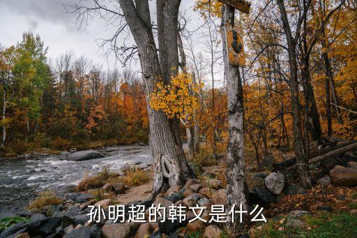 孫明超，孫明超的韓文是什么