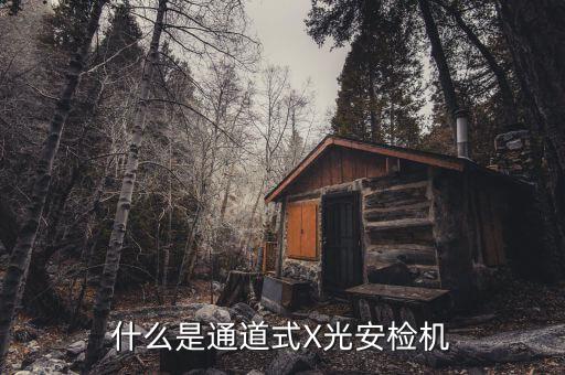 什么是通道式X光安檢機