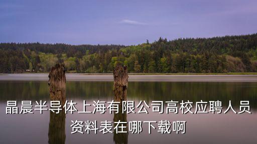 晶晨半導體上海有限公司高校應聘人員資料表在哪下載啊