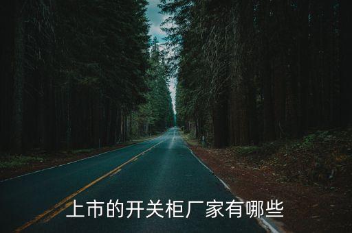 上市的開關(guān)柜廠家有哪些