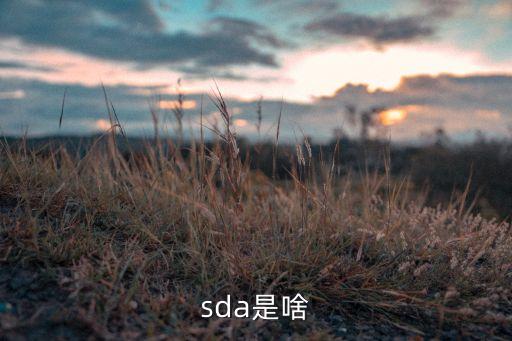 sda是啥