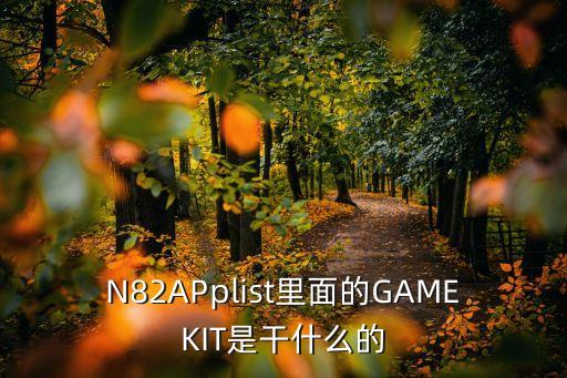 N82APplist里面的GAMEKIT是干什么的