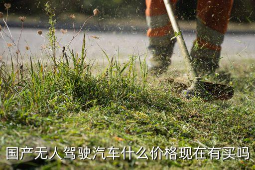 無人駕駛汽車價格，國產(chǎn)無人駕駛汽車什么價格現(xiàn)在有買嗎