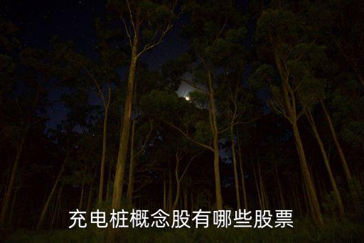 充電樁股票，充電樁概念股龍頭有哪些