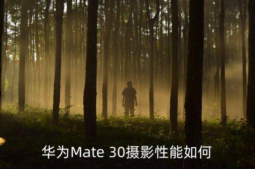 華為Mate 30攝影性能如何