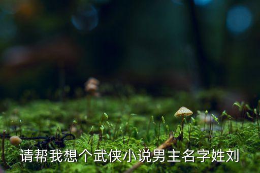 請幫我想個武俠小說男主名字姓劉