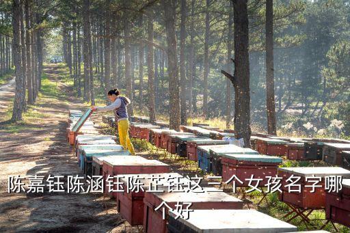 陳嘉鈺，陳姓女孩取名2012年9月初5出生的