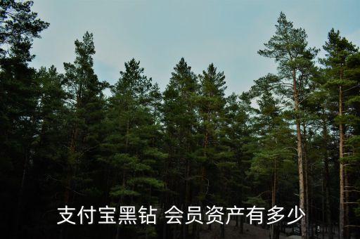  支付寶黑鉆 會(huì)員資產(chǎn)有多少