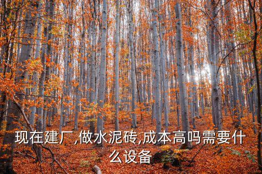 現(xiàn)在建廠,做水泥磚,成本高嗎需要什么設(shè)備