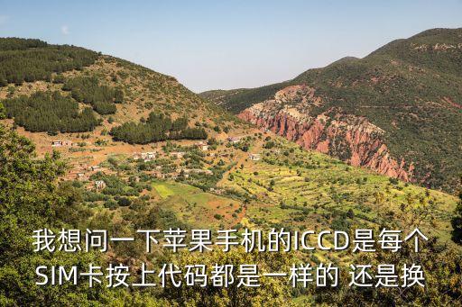 我想問一下蘋果手機(jī)的ICCD是每個(gè)SIM卡按上代碼都是一樣的 還是換