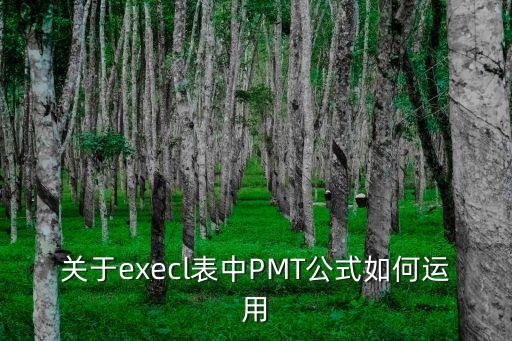 pmt是什么，關(guān)于execl表中PMT公式如何運(yùn)用