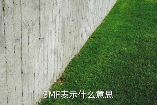 SMF表示什么意思