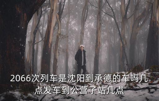 2066，襪子的2066和3066是什么意思