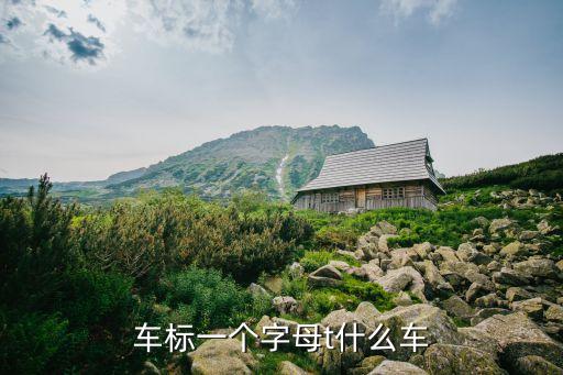 車標一個字母t什么車