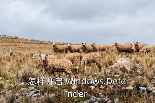 怎樣開啟 Windows Defender