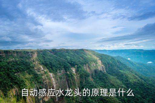 自動(dòng)感應(yīng)水龍頭，自動(dòng)感應(yīng)水龍頭是什么工作原理呢