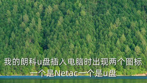 我的朗科u盤插入電腦時(shí)出現(xiàn)兩個(gè)圖標(biāo)一個(gè)是Netac一個(gè)是u盤