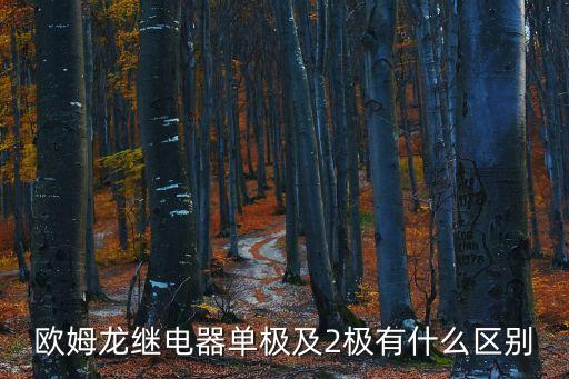 歐姆龍繼電器，歐姆龍繼電器觸點(diǎn) dc30v 5a 是什么意思