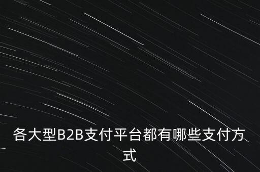 各大型B2B支付平臺(tái)都有哪些支付方式