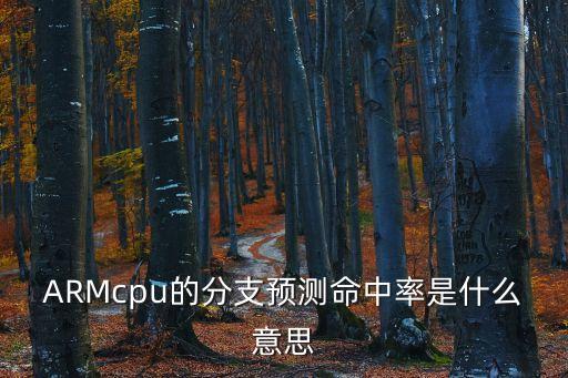 分支預(yù)測(cè)，支預(yù)測(cè)中間接分支預(yù)測(cè)中哪種指令最好預(yù)測(cè)規(guī)律是什么兩者的關(guān)聯(lián)