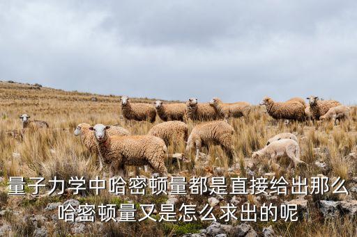量子力學(xué)中哈密頓量都是直接給出那么哈密頓量又是怎么求出的呢