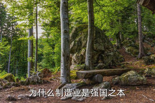 為什么制造業(yè)是強國之本