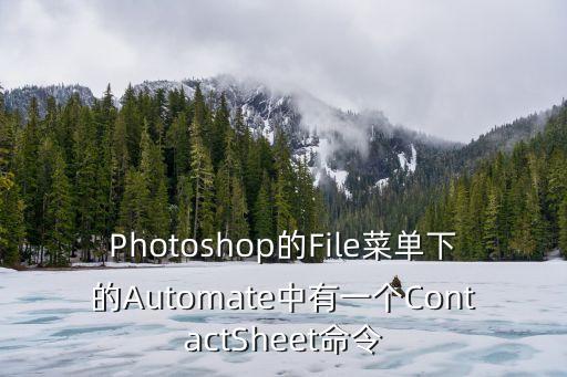 Photoshop的File菜單下的Automate中有一個(gè)ContactSheet命令