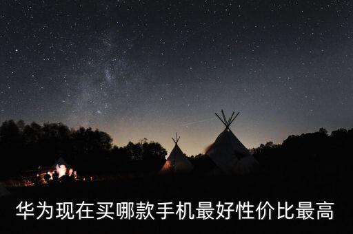 華為現(xiàn)在買(mǎi)哪款手機(jī)最好性價(jià)比最高