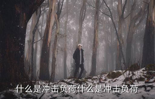 什么是沖擊負(fù)荷什么是沖擊負(fù)荷