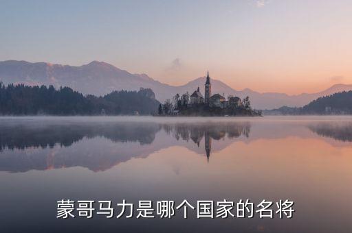 蒙哥馬力是哪個(gè)國家的名將