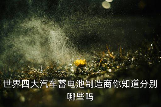 世界四大汽車(chē)蓄電池制造商你知道分別哪些嗎