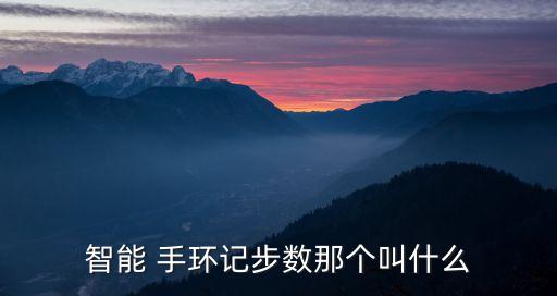 智能 手環(huán)記步數(shù)那個叫什么