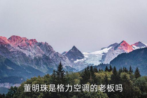 格力董明珠，董明珠是格力空調(diào)的老板嗎