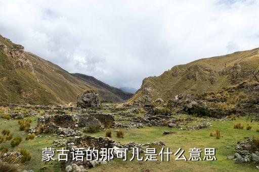 蒙古語(yǔ)的那可兒是什么意思