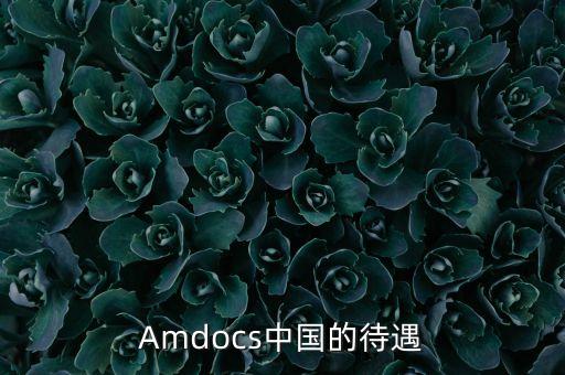 Amdocs中國(guó)的待遇