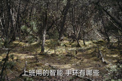 上班用的智能 手環(huán)有哪些