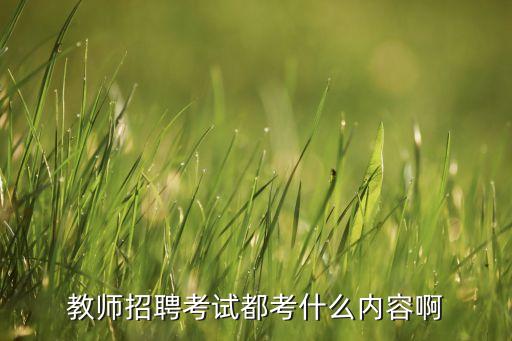 教師招聘考試都考什么內(nèi)容啊