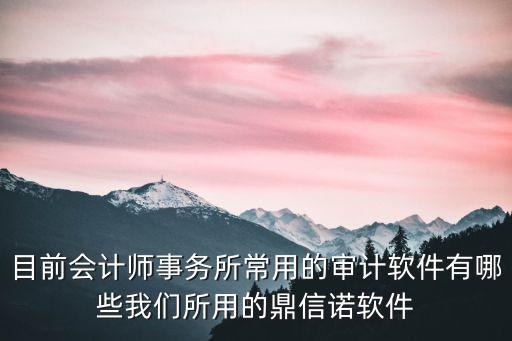 目前會計師事務所常用的審計軟件有哪些我們所用的鼎信諾軟件