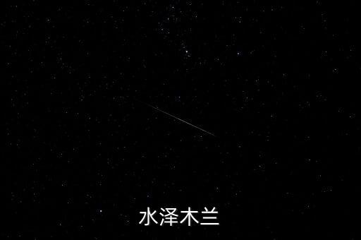 水澤木蘭，水澤木蘭的介紹