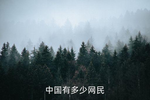 網(wǎng)民數(shù)量，中國 網(wǎng)民有多少
