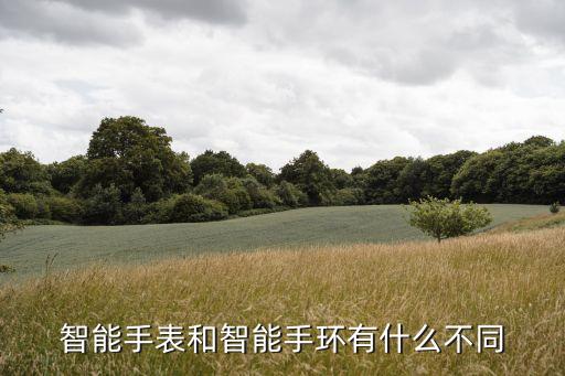 智能手表和智能手環(huán)有什么不同