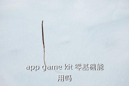 app game kit 零基礎(chǔ)能用嗎