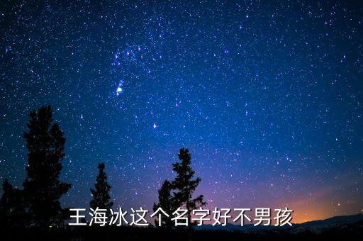 王海冰這個名字好不男孩