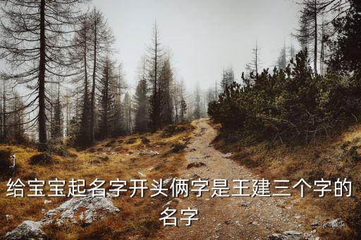 給寶寶起名字開頭倆字是王建三個字的名字