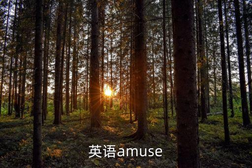amuse，amuse短語