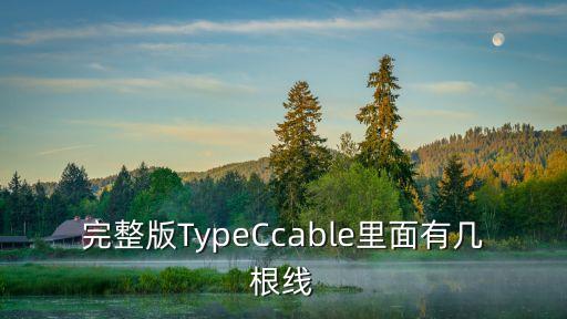 完整版TypeCcable里面有幾根線